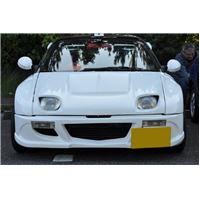 maiko151018 (12).JPG